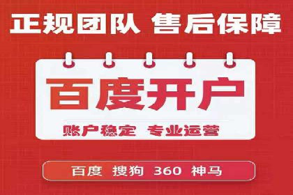 SEM搜索引擎优化策略解析与应用案例